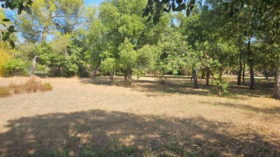 Aed - Buildable Plot with South Exposure in Le Cannet-Des-Maures