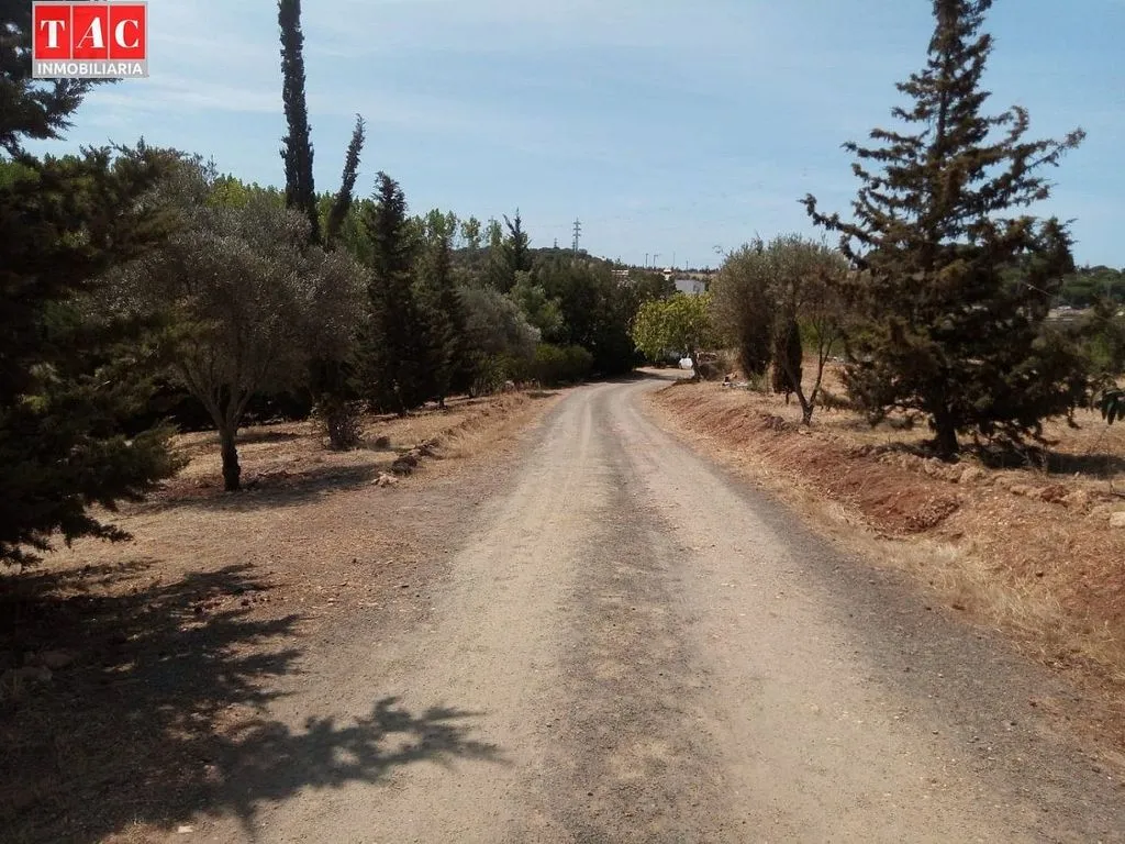 Garden - Luxury Farmhouse with Pool in Ayamonte