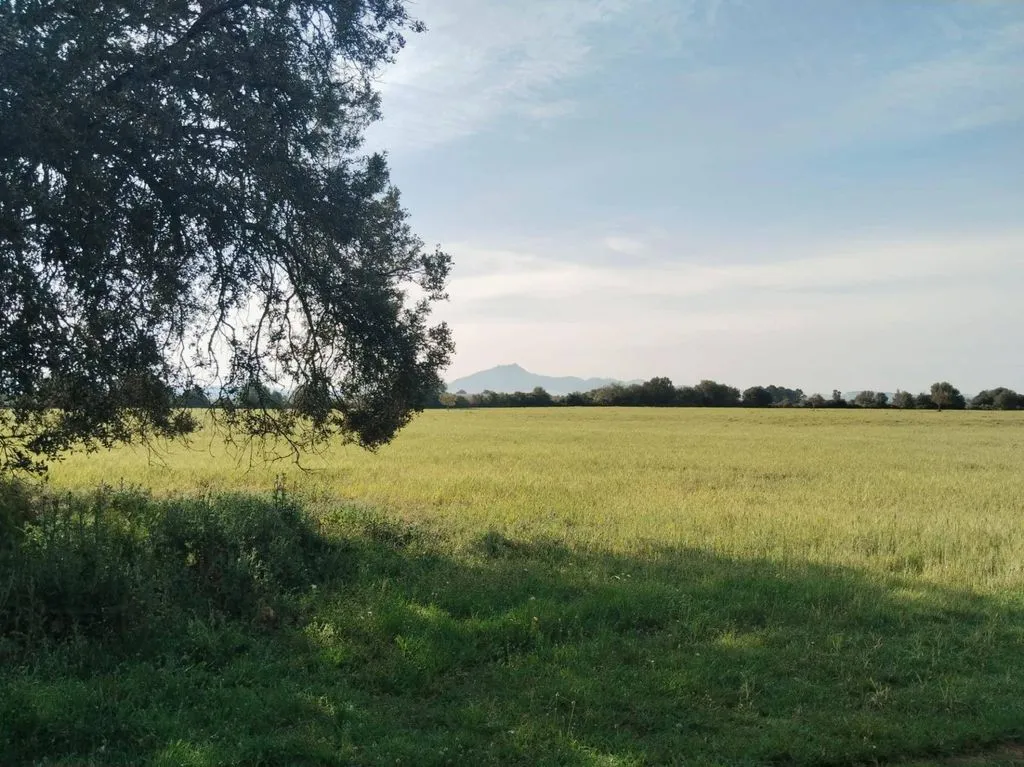 land_plot