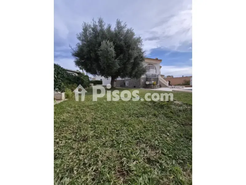 Giardino - Chalet with Garden in El Chaparral, Torrevieja
