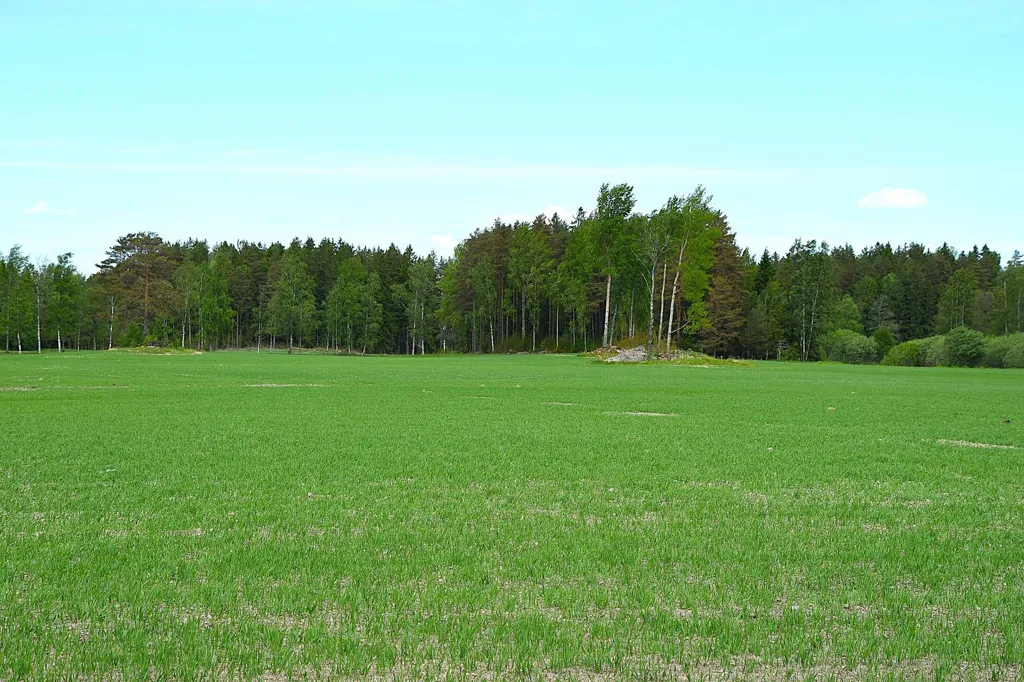 Jardin - Farm with Lake Access in Granviksnäset