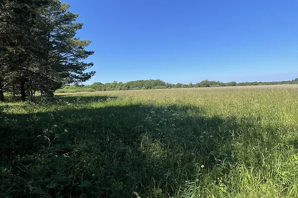 Jardin - Terrain à Saaremaa vald