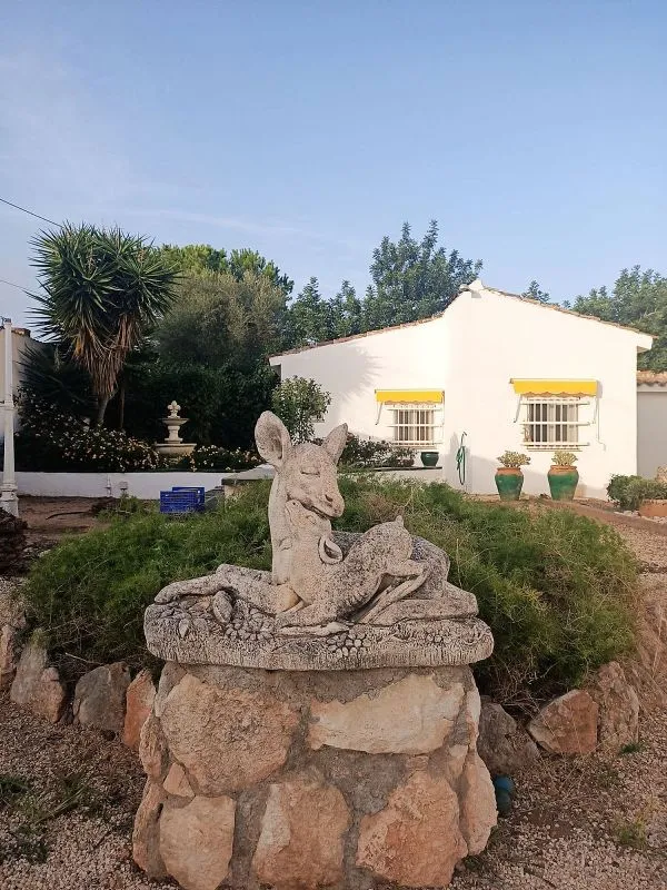 garden