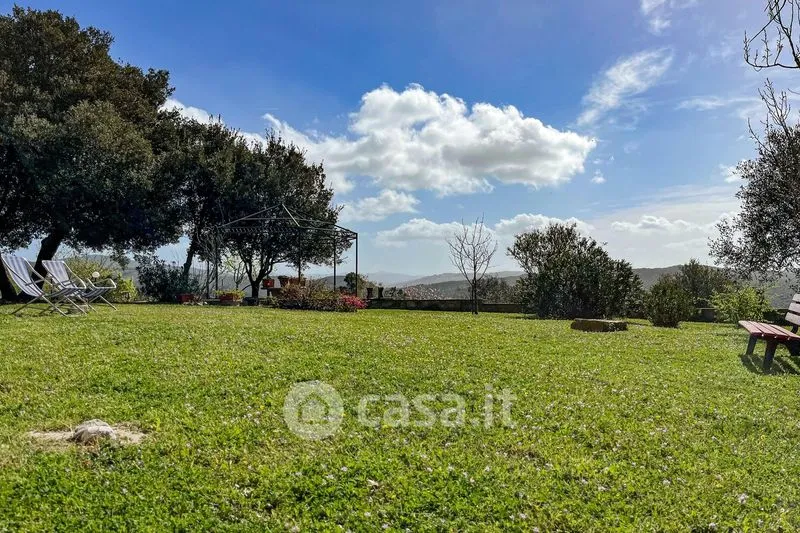 Jardin - Rustic Casale with Pool in Massa Marittima