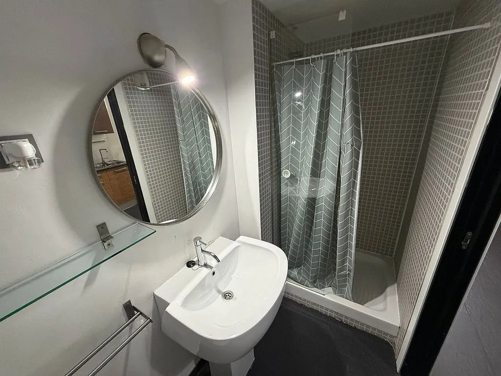 Salles de bain - Loft with Balcony in Estación-Manantiales