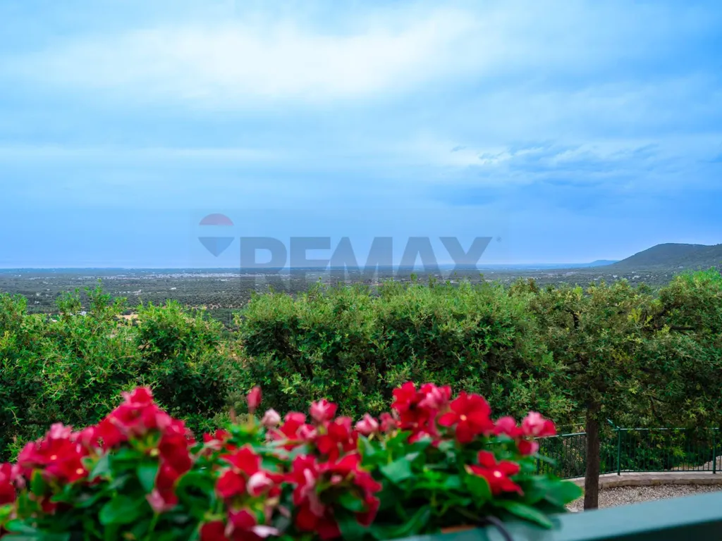 Jardin - Villa with Panoramic View in Fasano