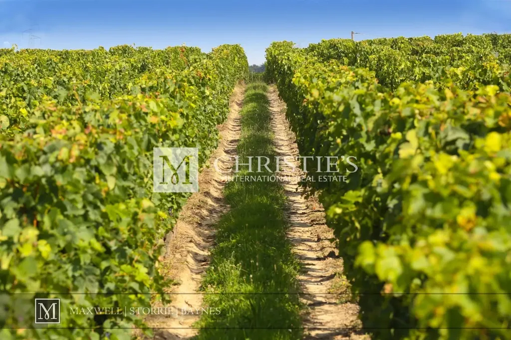 Jardin - Domaine Viticole Historique avec Château à Entre-Deux-Mers
