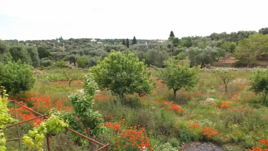 Garden - Typical Trulli House in Ostuni