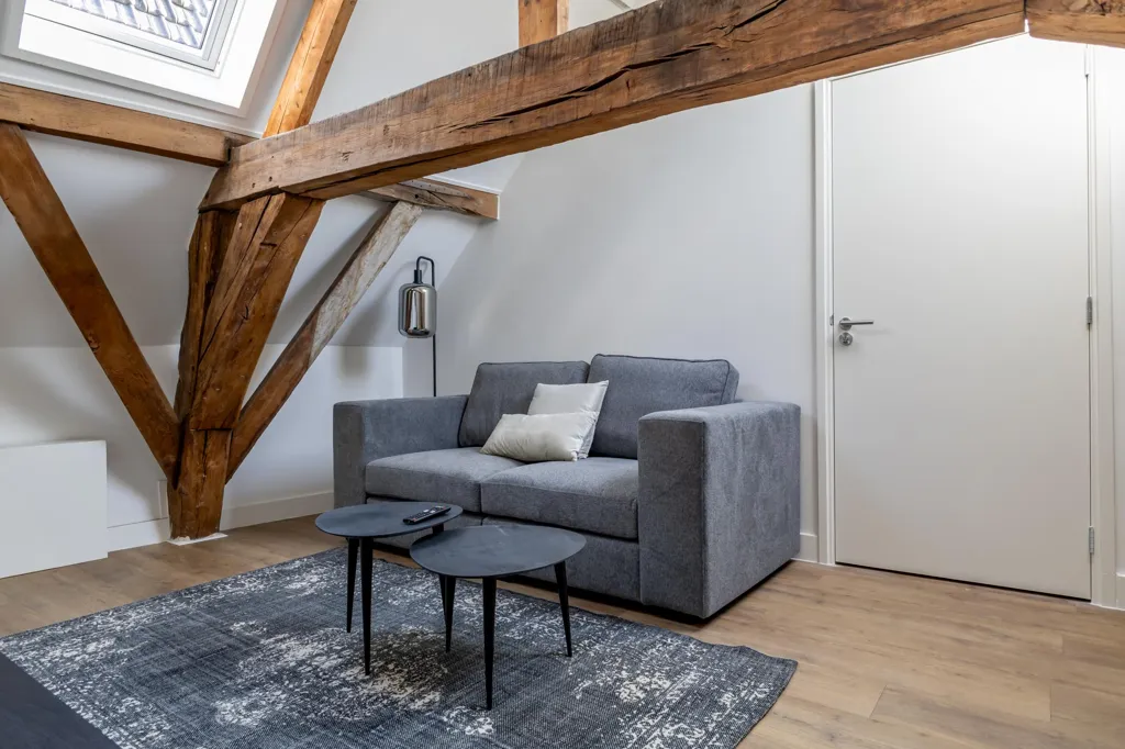 Soggiorno - Short-Stay Apartment in 's-Hertogenbosch Centre