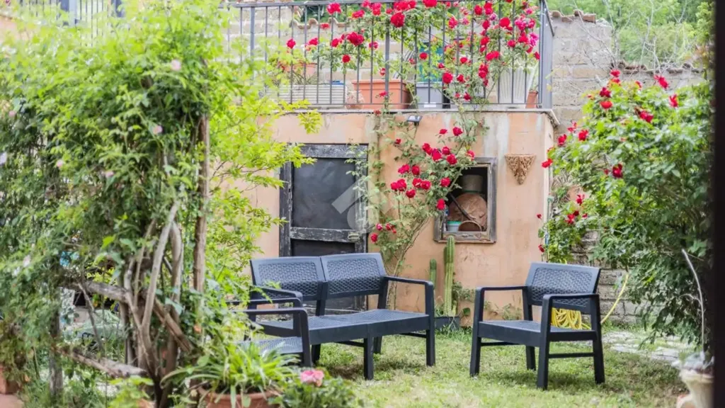 garden