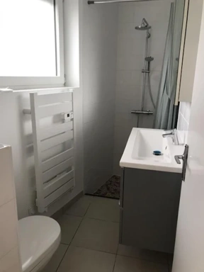 Vannitoad - 3-Bedroom Apartment in Neyron