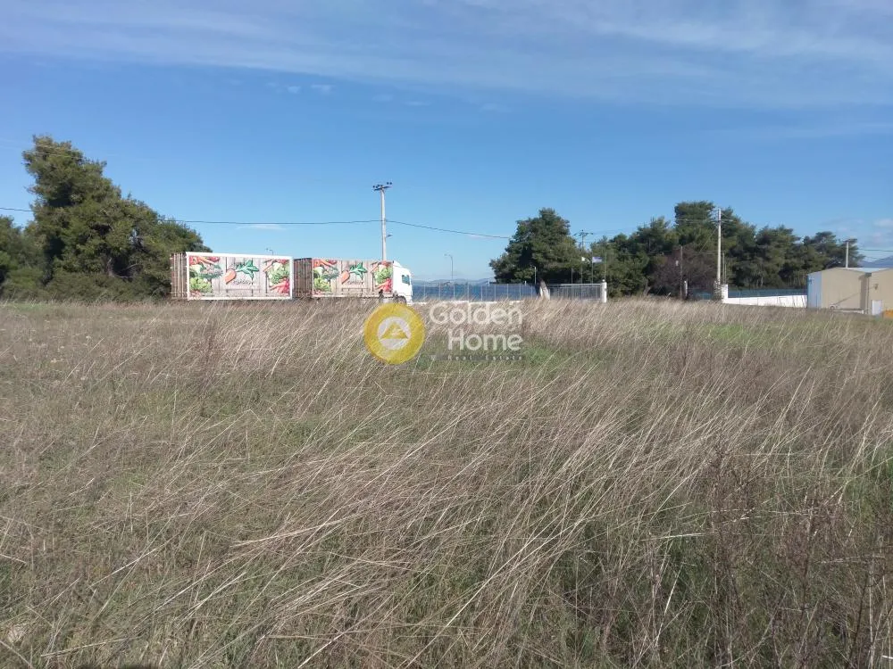 Aed - Commercial Plot with Unrestricted View in Eastern Attica