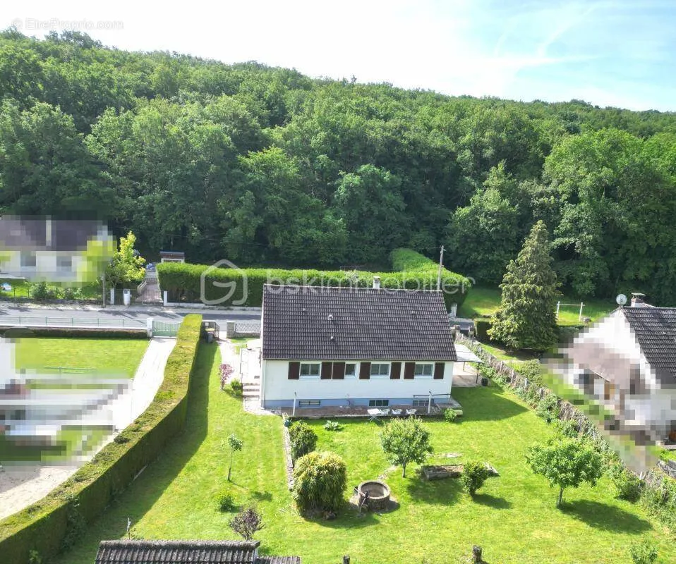 Õhuvaade - Ground Floor House with Forest Proximity in Poligny