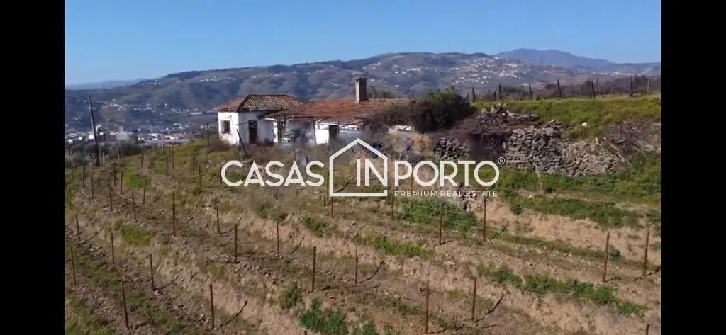Välivaade - Luxury Farmhouse with Vineyard in Peso da Régua