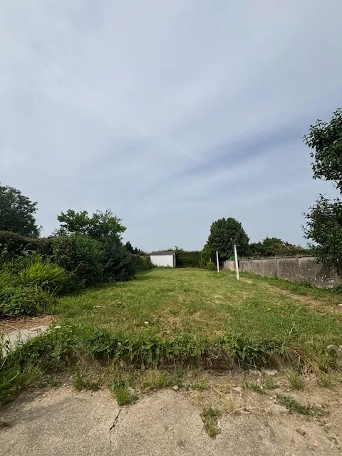 Jardin - Maison de Ville avec Jardin à Valognes