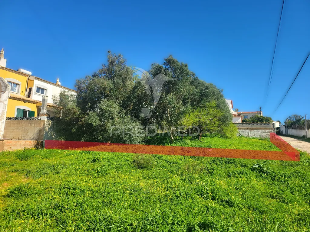 Jardin - Approved Plot for Villa near Oásis Parque