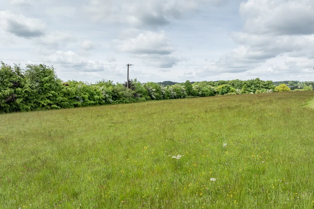 Aed - 1 Hectare Land in Censes, Houffalize
