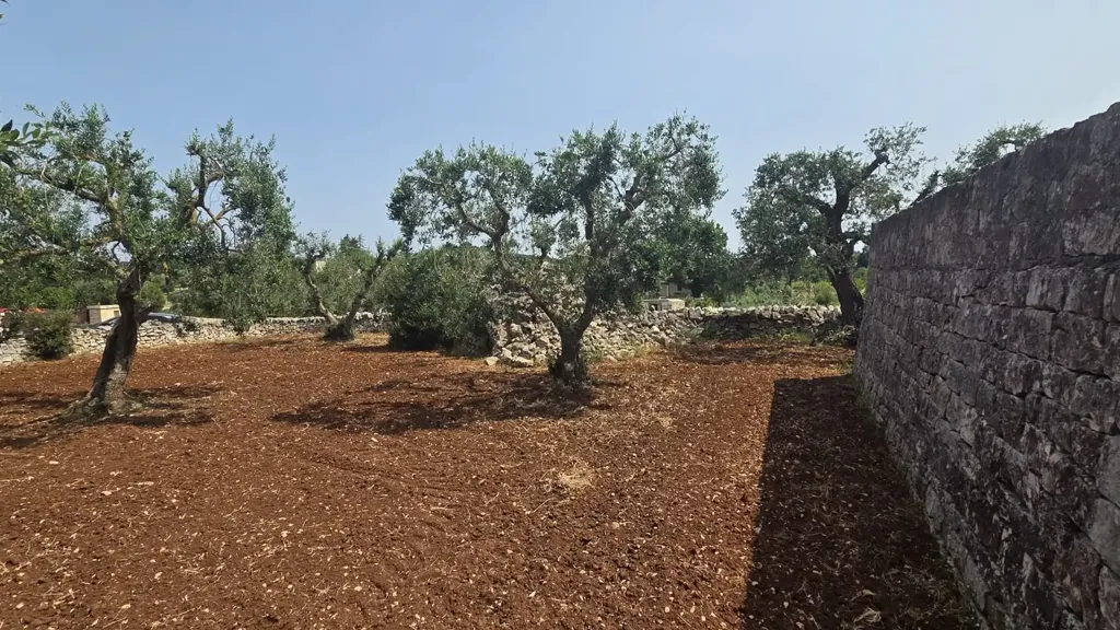 Garden - Trullo Complex for Renovation in Ostuni