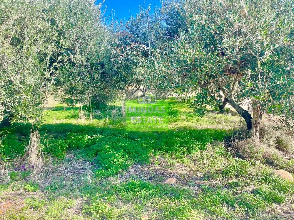 Aed - Corner Plot with Sea View in Tavronitis