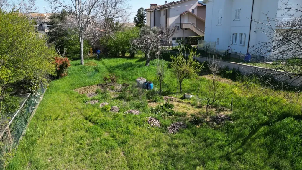 Jardin - Cielo-Terra House with Garden in Cupramontana