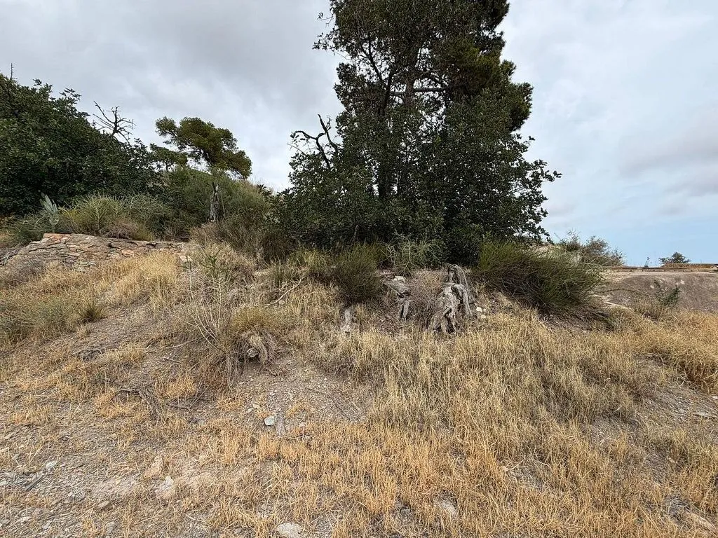 Aed - Rustic Country House with Pool in Cope, Águilas