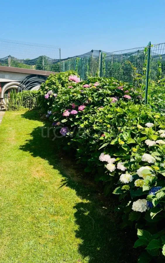 Jardin - Villa with Private Garden in Costigliole Saluzzo