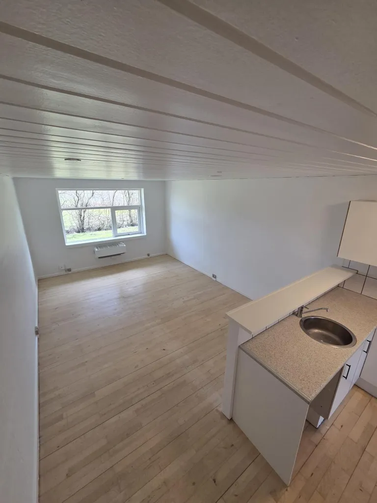 Cuisine - Renovated Studio Flat with Terrace in Ørnhøj