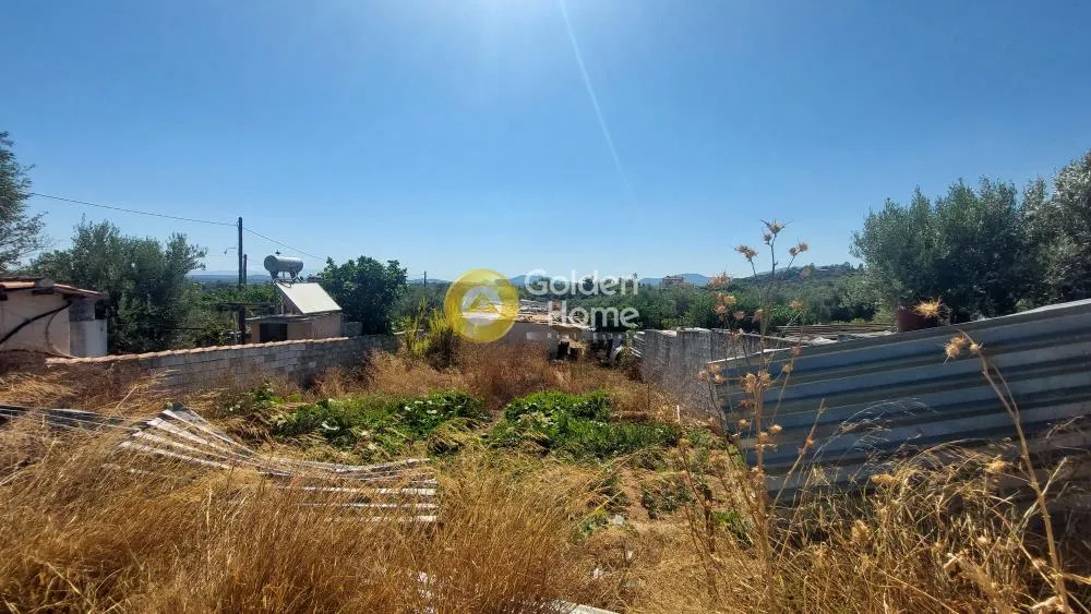 Aed - Warehouse with Storage in Koropi - Karelles
