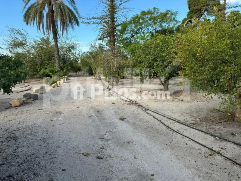 Jardin - Historic Villa with Archaeological Setting in Elche