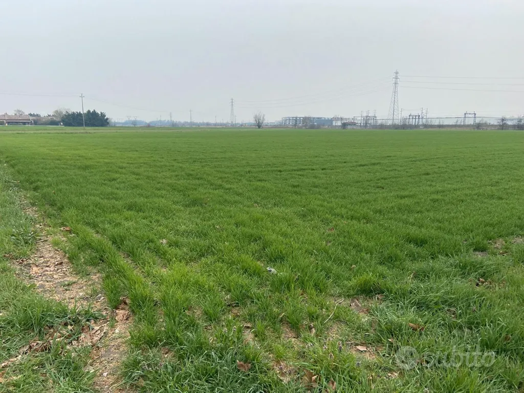 Jardin - Agricultural Land with Barn in Baganzola