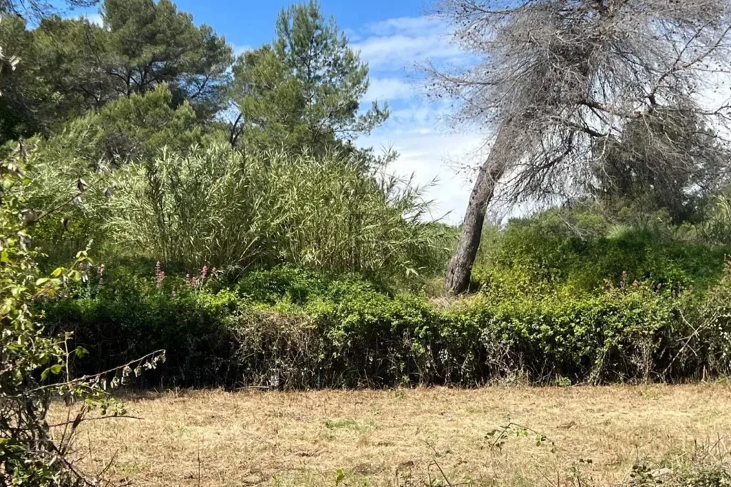 Aed - Land with Construction Permits in Mougins