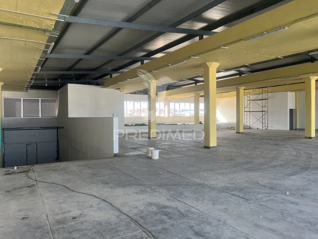 Toad - Warehouse in Prior Velho, Lisbon