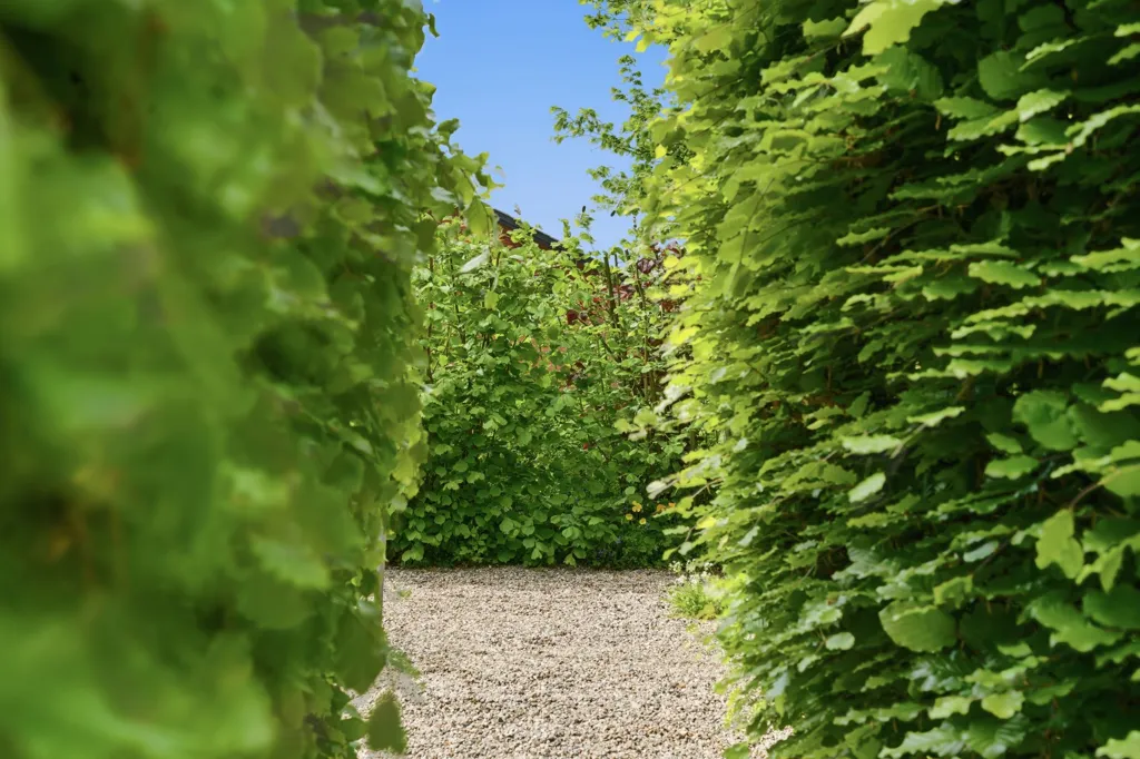 Jardin - Red Brick Villa with Garden in Øsby