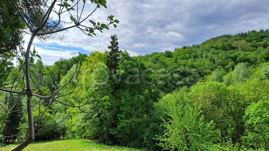 Giardino - Rustic Property with Panoramic Views in Bagnolo Piemonte