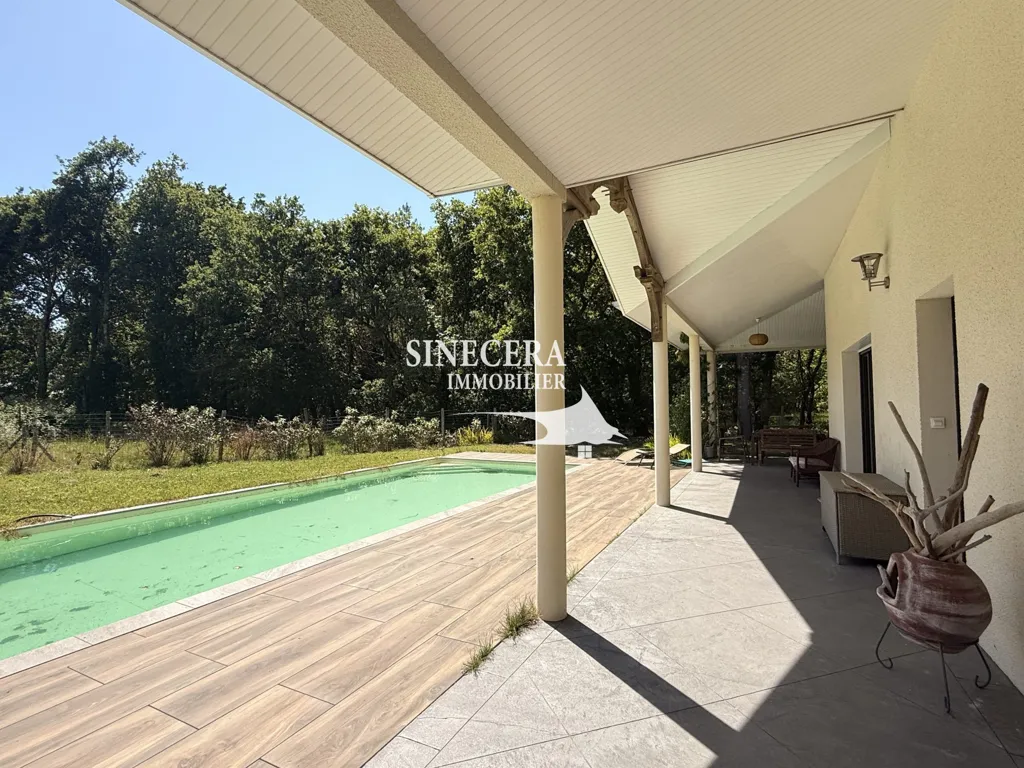 Piscine - Maison Contemporaine avec Piscine à Sanguinet