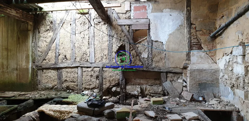 Toad - Townhouse for Renovation in Condom