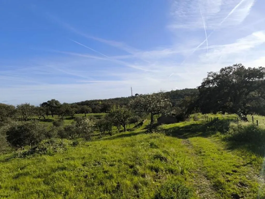 Aed - Luxury Farmhouse with Development Potential in Alentejo