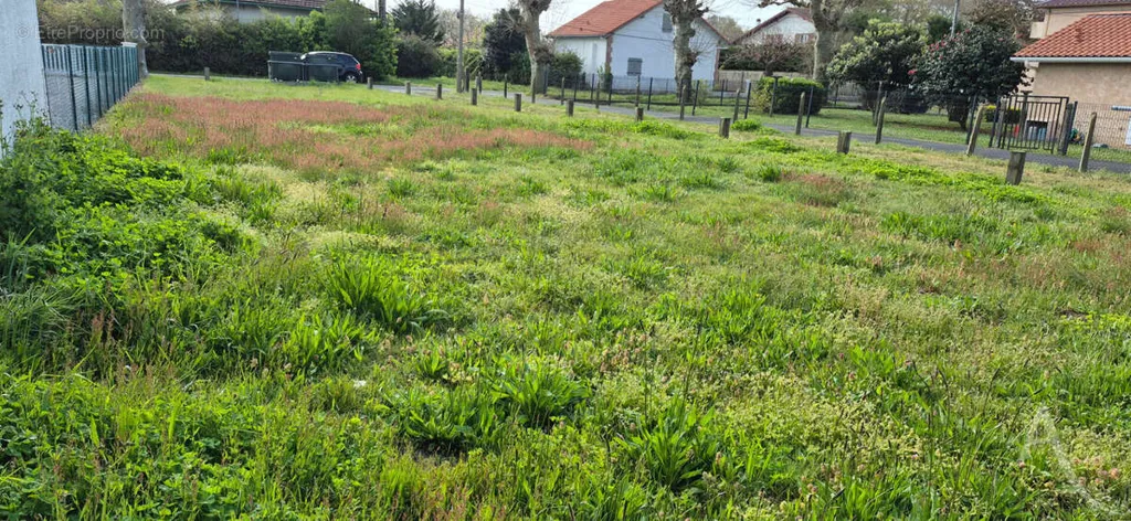Giardino - Buildable Plot with Pool Potential in Soustons