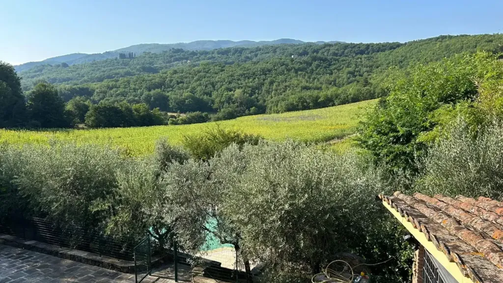 Terrasse - Rustic Country House with Pool near Vicchio