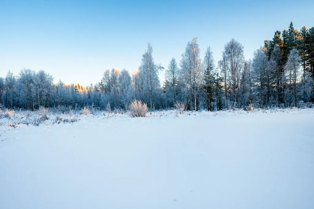 Detached House with Large Garden in Norrbotten