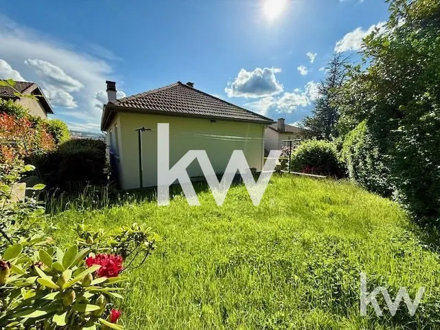 Giardino - Charming Villa with Garden in Saint-Étienne
