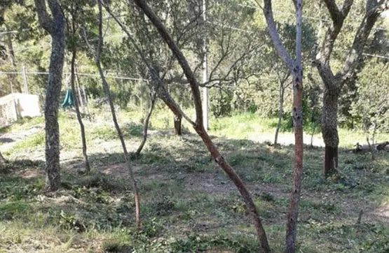 Aed - Plot in Montbarbat Urbanisation, Maçanet De La Selva