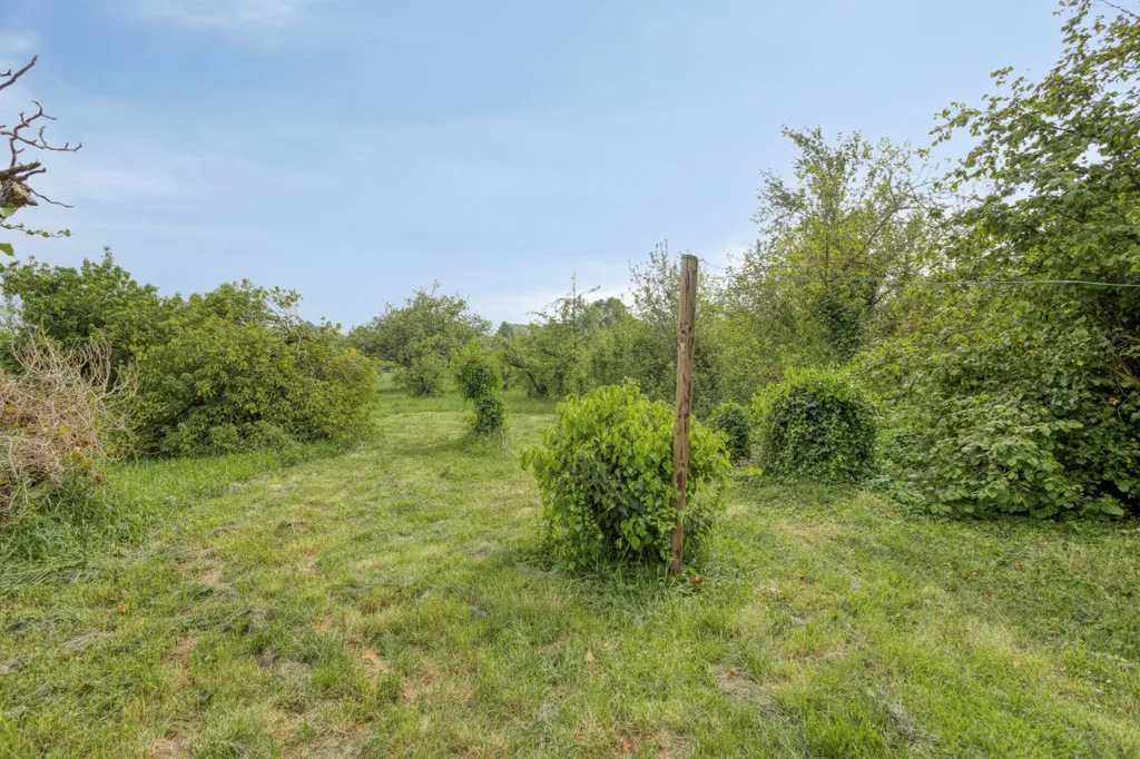 Jardin - Characterful Detached House with Polder View in Ellewoutsdijk