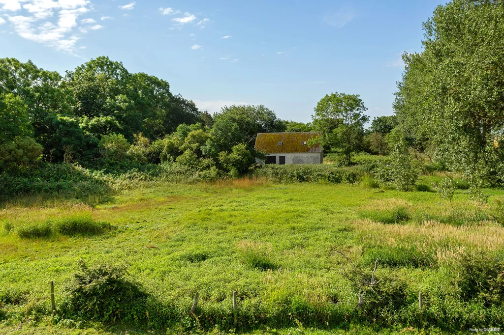 Aed - Large Natural Plot with Farmhouse in Simrishamn