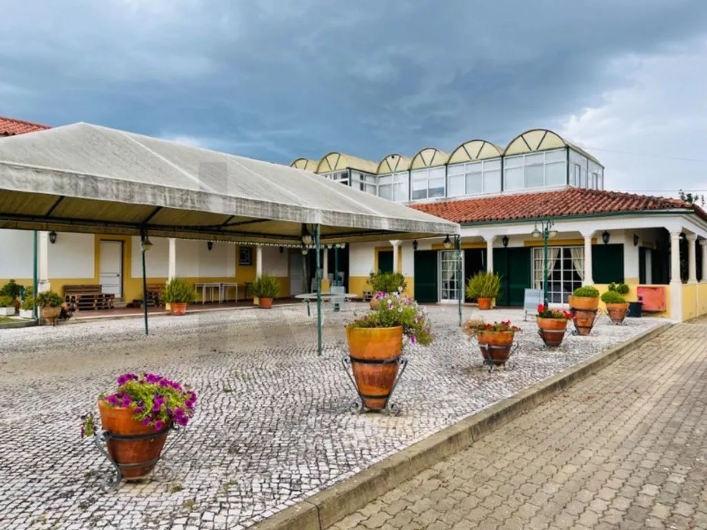 Aed - Luxury Event House with Vineyard in Tomar