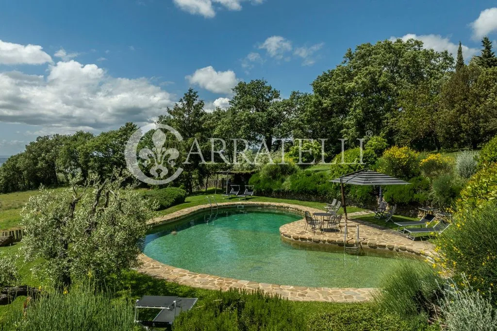 Piscine - Luxury Farmhouse with Pool in Sarteano