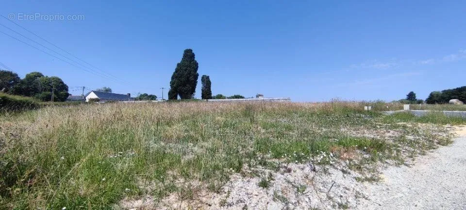 Aed - Buildable Plot with Garden in Saint-Augustin-des-Bois