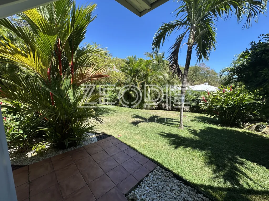 Jardin - Villa d'Architecte avec Piscine à Saint-François
