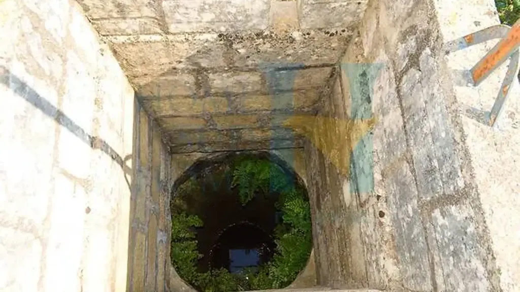 Toad - Warehouse with Lemon Grove near Avola