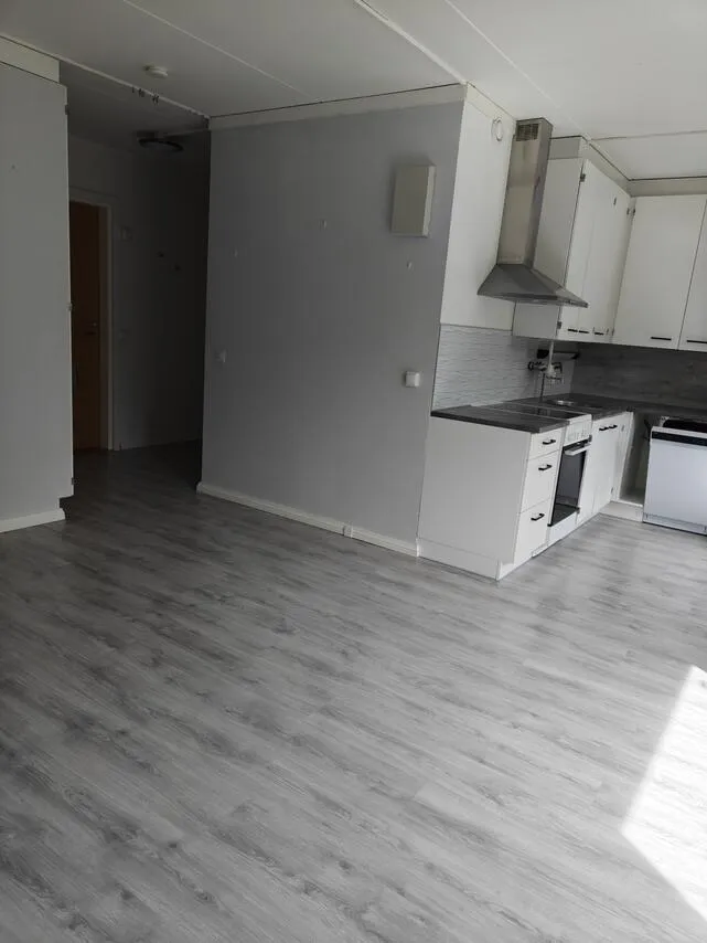 Köök - One-Bedroom Flat with Balcony in Harjavalta